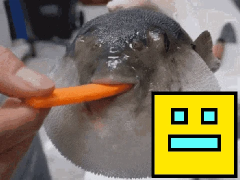 Geometry Dash but Pufferfish eating a carrot