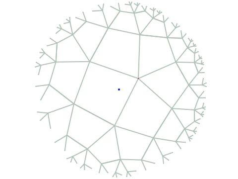 Poincare Disk Hyperbolic Geometry Test